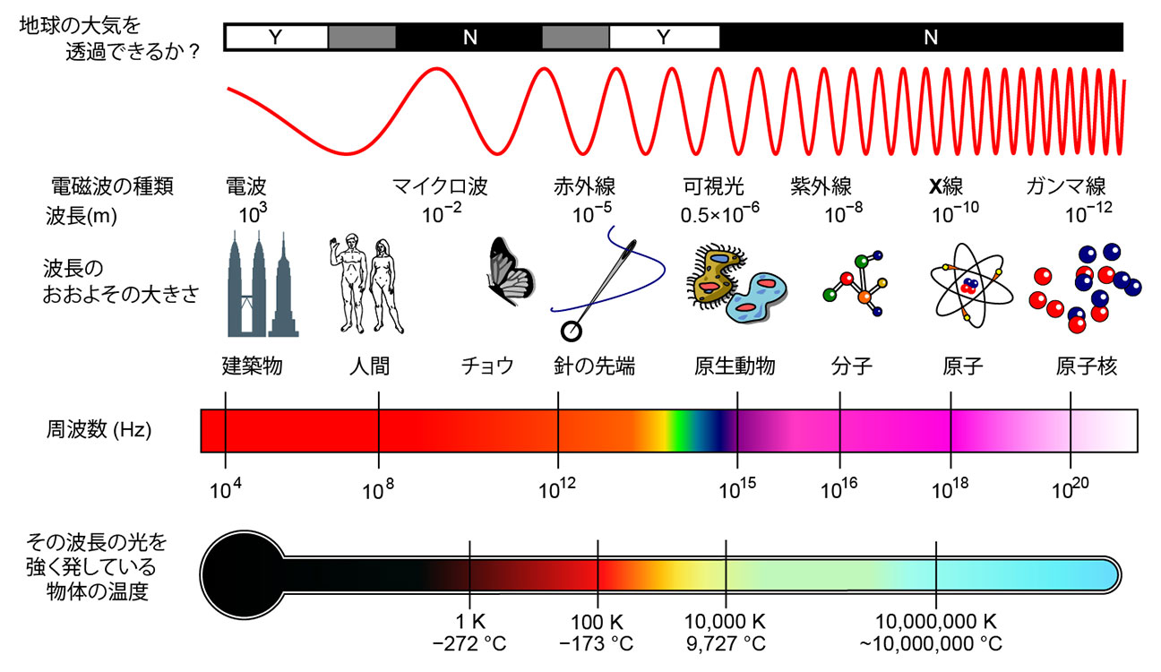電磁波の分類と特徴（出典：Inductiveload, NASA. Translation by t7o7k, CC0, via Wikimedia Commons）