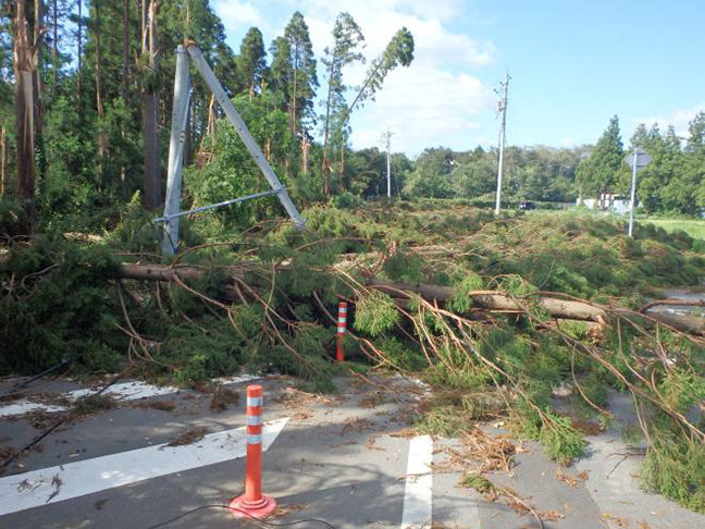 台風15号の被害状況（出典：千葉市HP