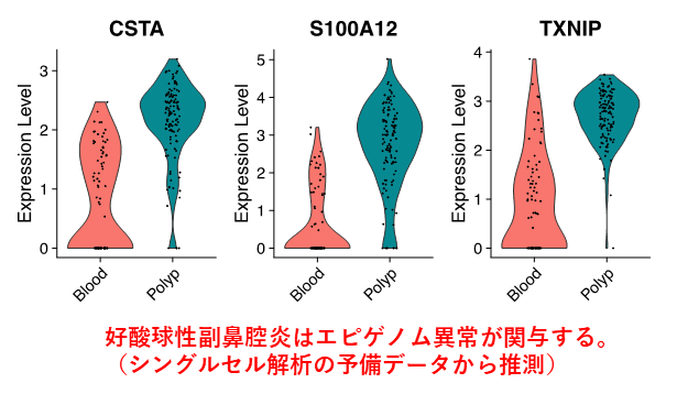 老化に伴って出現する異常な免疫細胞の機能解析