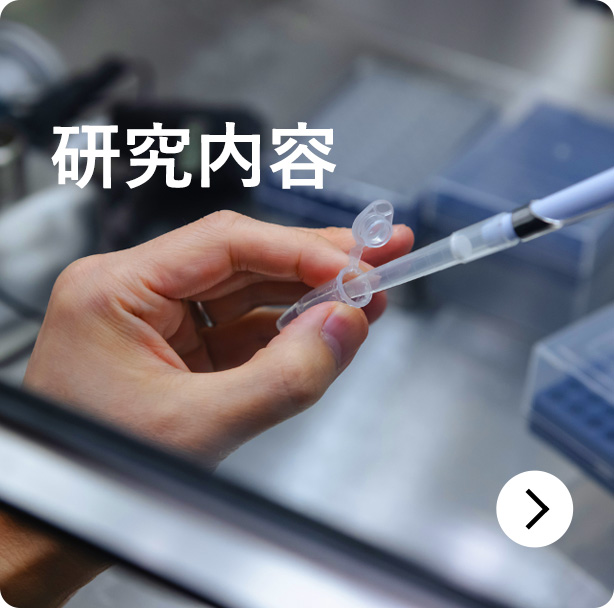 研究内容