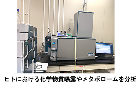 災害環境健康学研究部門02