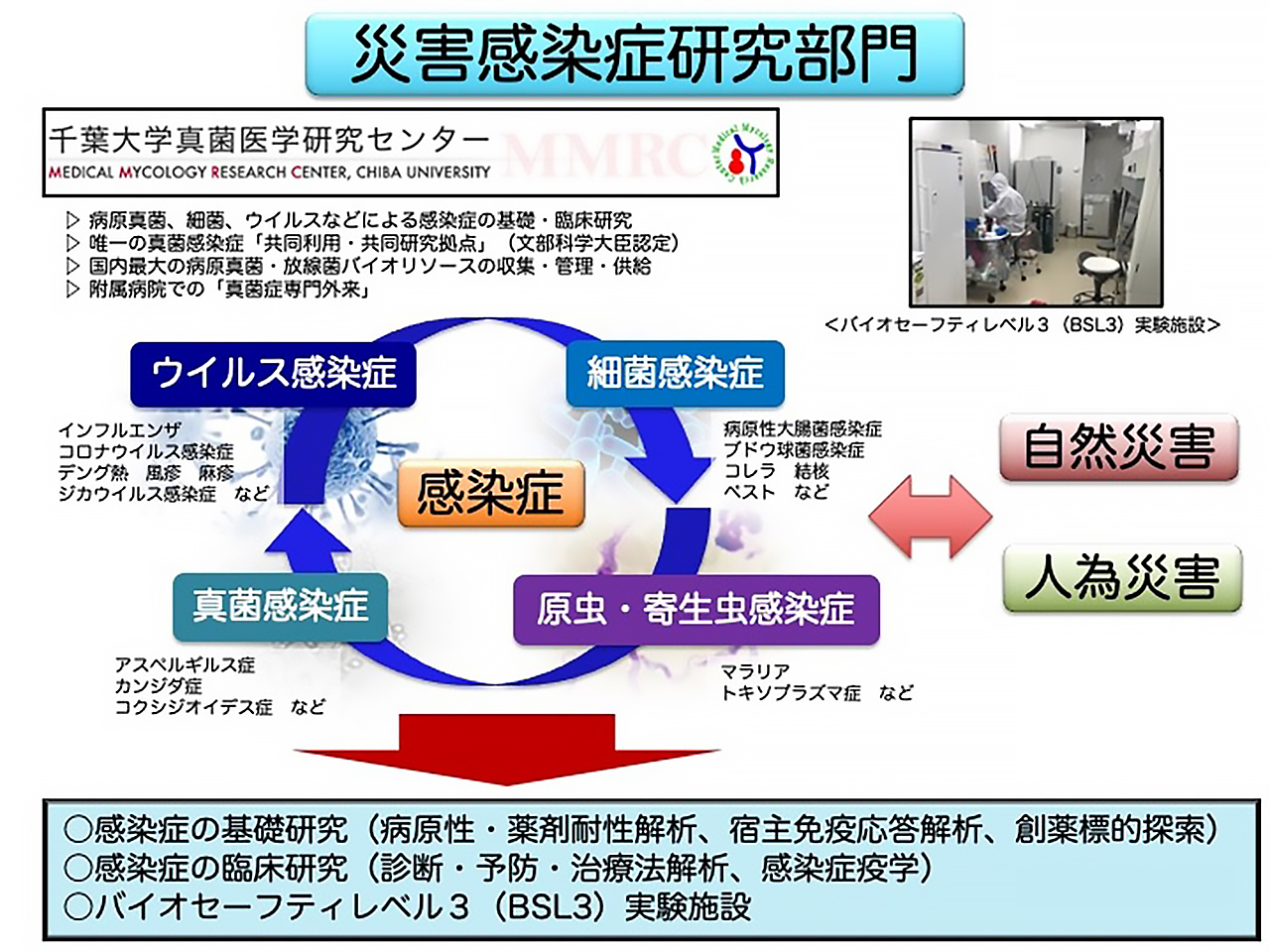 災害感染症研究部門